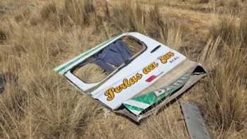 Una puerta metálica blanca de vehículo con el texto Perlas del Sur y franjas verdes yace sobre vegetación seca