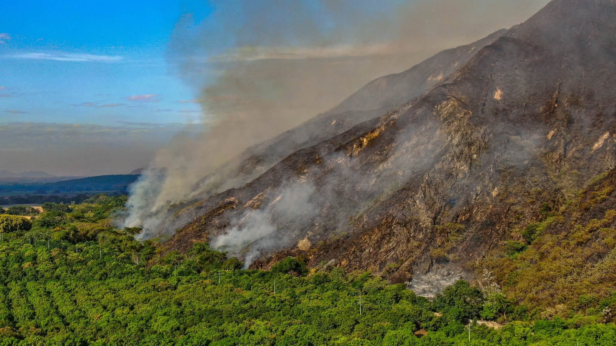 Las autoridades anunciaron una recompensa de hasta $100 millones por información sobre los responsables de los incendios en Tolima - crédito Cortolima Corporación Autónoma / Facebook