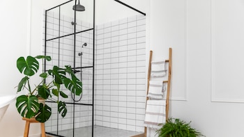 Cinco plantas ideales para decorar tu baño: ayudan a controlar la humedad y aportan un toque natural a una de las zonas menos decoradas del hogar