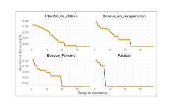 Encuentran 38 especies en la selva de Misiones y alertan por el impacto de los pastizales exóticos
