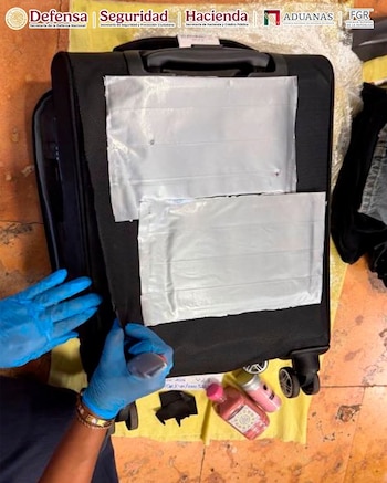 El equipaje procedía de Bogotá, Colombia, y fue inspeccionado por personal de Aduanas y de la Defensa. (X Gabinete de Seguridad)