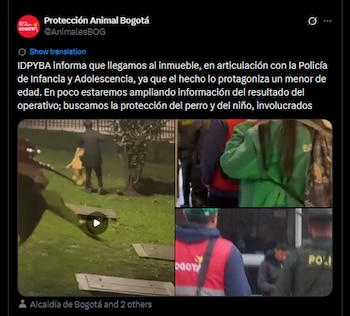 El Idpyba acudió al lugar