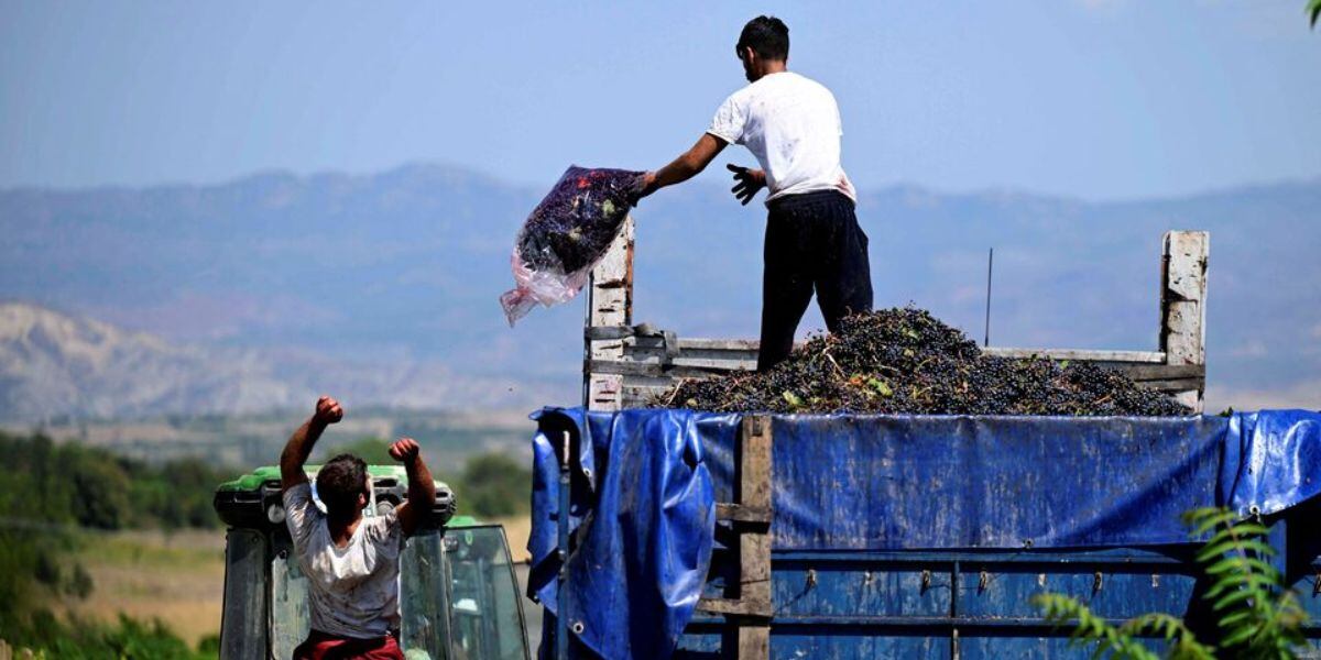 El turismo rural y el agroturismo cobran importancia en Macedonia del Norte, con fincas familiares y experiencias auténticas para visitantes (Wikipedia)