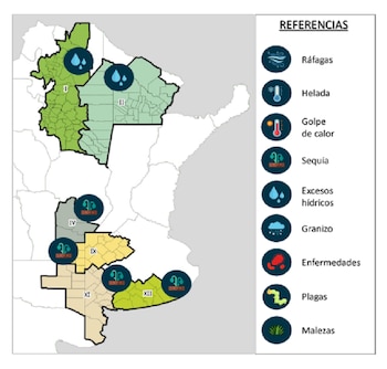 La evolución de la cosecha