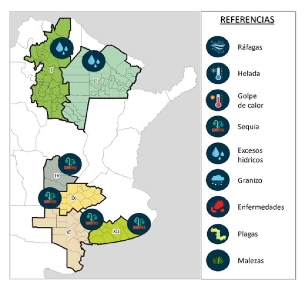 Contrastes hídricos ponen a prueba el tramo clave de la campaña gruesa