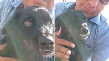 Un joven recuperó a su