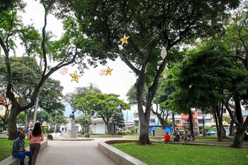 La Alcaldía de Cali impulsa