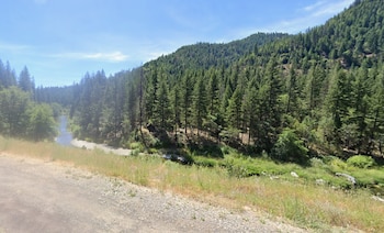 Un camino de tierra en primer plano junto a un río que atraviesa un bosque de pinos bajo un cielo despejado