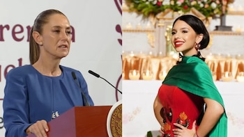 El gobierno explicó el video