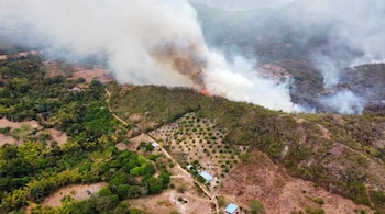 La emergencia ambiental en Coello, Tolima, superó la capacidad de respuesta local por múltiples incendios forestales con un comportamiento inusual - crédito Santiago Herrera / Facebook
