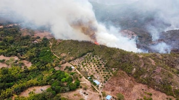 Alcalde de Coello, Tolima, denunció que “manos criminales” estarían reactivando los incendios forestales: “Apagamos uno y nos prenden otro”