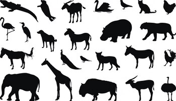 La pérdida de biodiversidad global