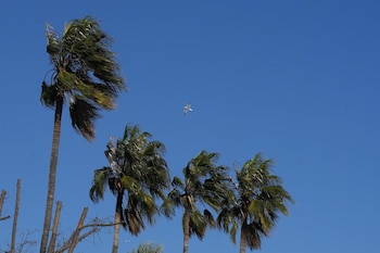 Imagen FYV42NWN6ZDJ7MAUGPAKPOKSAU