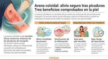 Infografía con texto, la ilustración de un brazo con picaduras de mosquito y cuatro íconos explicativos sobre el uso de la avena coloidal.
