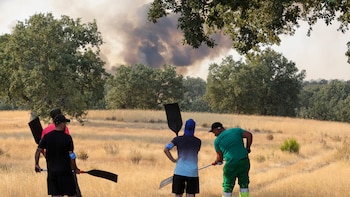 Última hora de los incendios en España, en directo | El Gobierno pone fin a la emergencia de interés nacional por el fuego de Ávila y Madrid