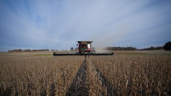El sector agropecuario volvió a