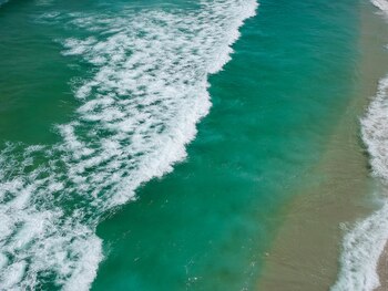 Este estudio ofrece nuevas perspectivas