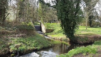Una cascada, escaleras y árboles en el bosque de Verrières