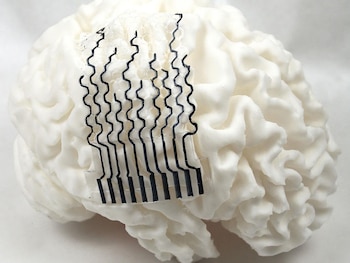 Investigadores crean sensores cerebrales hechos con impresión 3D y materiales blandos