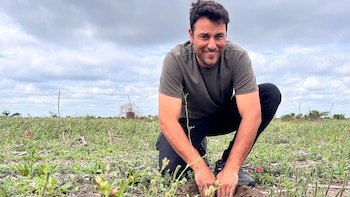 Plantación árboles Gran Chaco