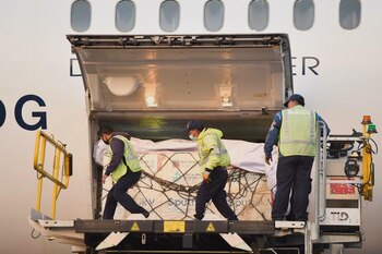 (Foto: Secretaría de Relaciones Exteriores)