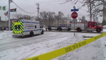 La zona ha sido cercada