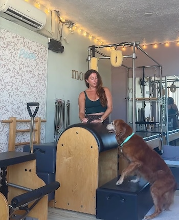 Una mujer de pie y un perro de raza golden retriever apoyado sobre un banco en una sala con máquinas de pilates