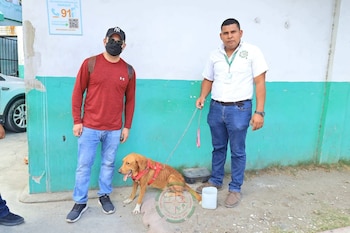 La DPI reporta ocho detenidos y 27 denuncias por maltrato animal en 2026. (cortesía)