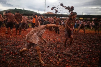 También habrá concursos como el comelón de tomate, la exhibición del tomate más grande, presentaciones de bandas musicales, desfiles de carrozas, comparsas y disfraces alusivos a la hortaliza.