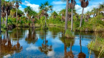 Hermosas fincas vendidas o abandonadas
