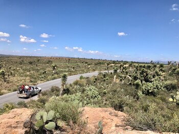 Muchos de los fallecidos y