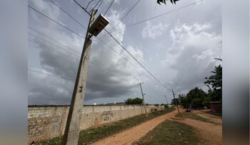 Estas luminarias cuentan con una
