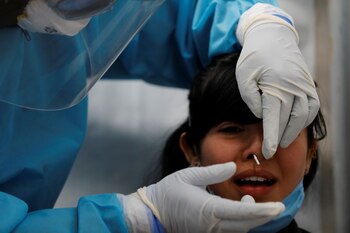 En total son 26 macroquioscos