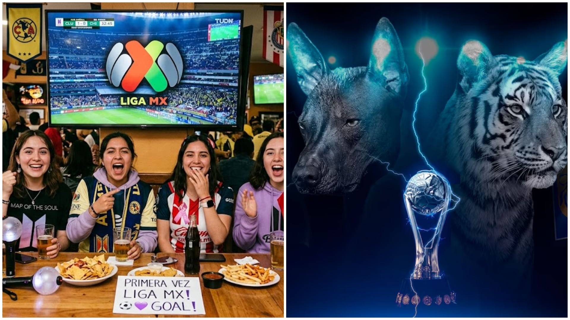 Armys debutan viendo la Liga MX y enloquecen con Xolos vs Tigres: “Es naquísimo, me encanta”