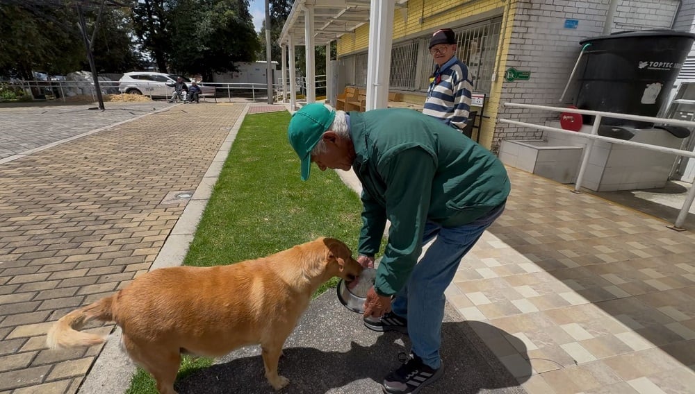 Estudios académicos señalan que convivir con mascotas puede estimular la actividad cognitiva y promover vínculos sociales indirectos.