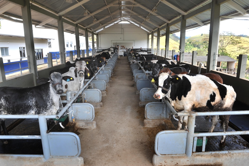 Brasil reactiva una investigación antidumping y pone bajo la lupa la leche en polvo del Mercosur