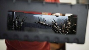 El Zoológico de Praga lidera