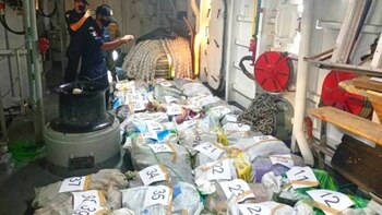 Sorprendente hallazgo en Chiapas: la