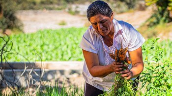 ‘Ella alimenta al mundo’, un