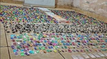 Parte del material incautado en el kiosco del barrio Villegas