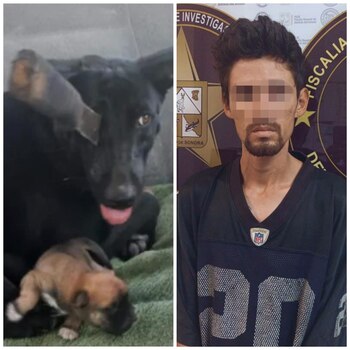 Presunto responsable de agresión contra