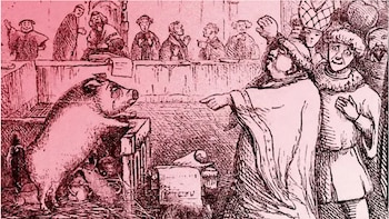 ¿Deberían los robots tener derechos y obligaciones?