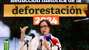 La deforestación en Colombia aumentó