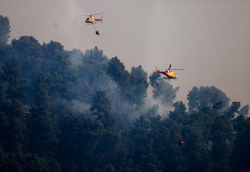 Incendio forestal en el termino municipal de Sentmenat (Barcelona). (Quique García/EFE)