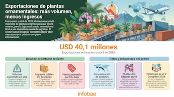 Infografía sobre exportaciones de plantas ornamentales con texto, gráficos, cajas sobre cinta transportadora, un avión de carga y contenedores.