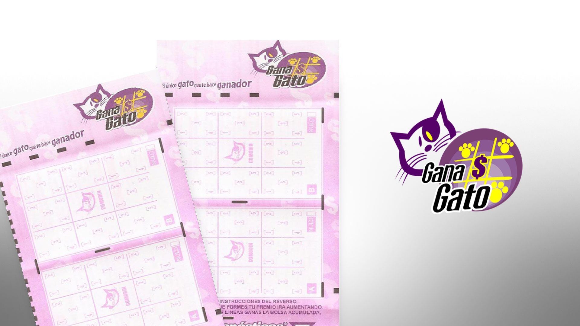 Con 10 pesos puedes ganar cientos de miles de pesos en Gana Gato. (Infobae/Jovani Pérez)