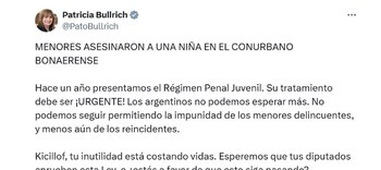 El tuit de Patricia Bullrich