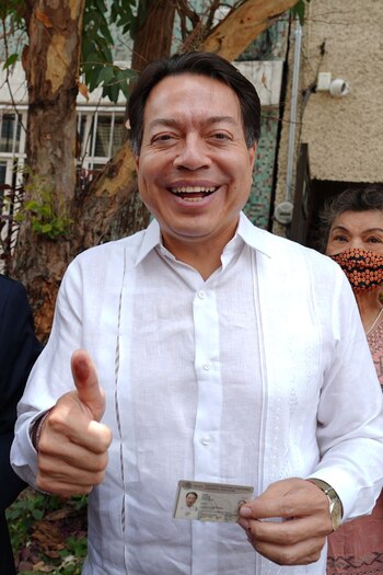 El dirigente nacional de Morena