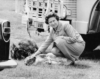 Perros de Isabel II