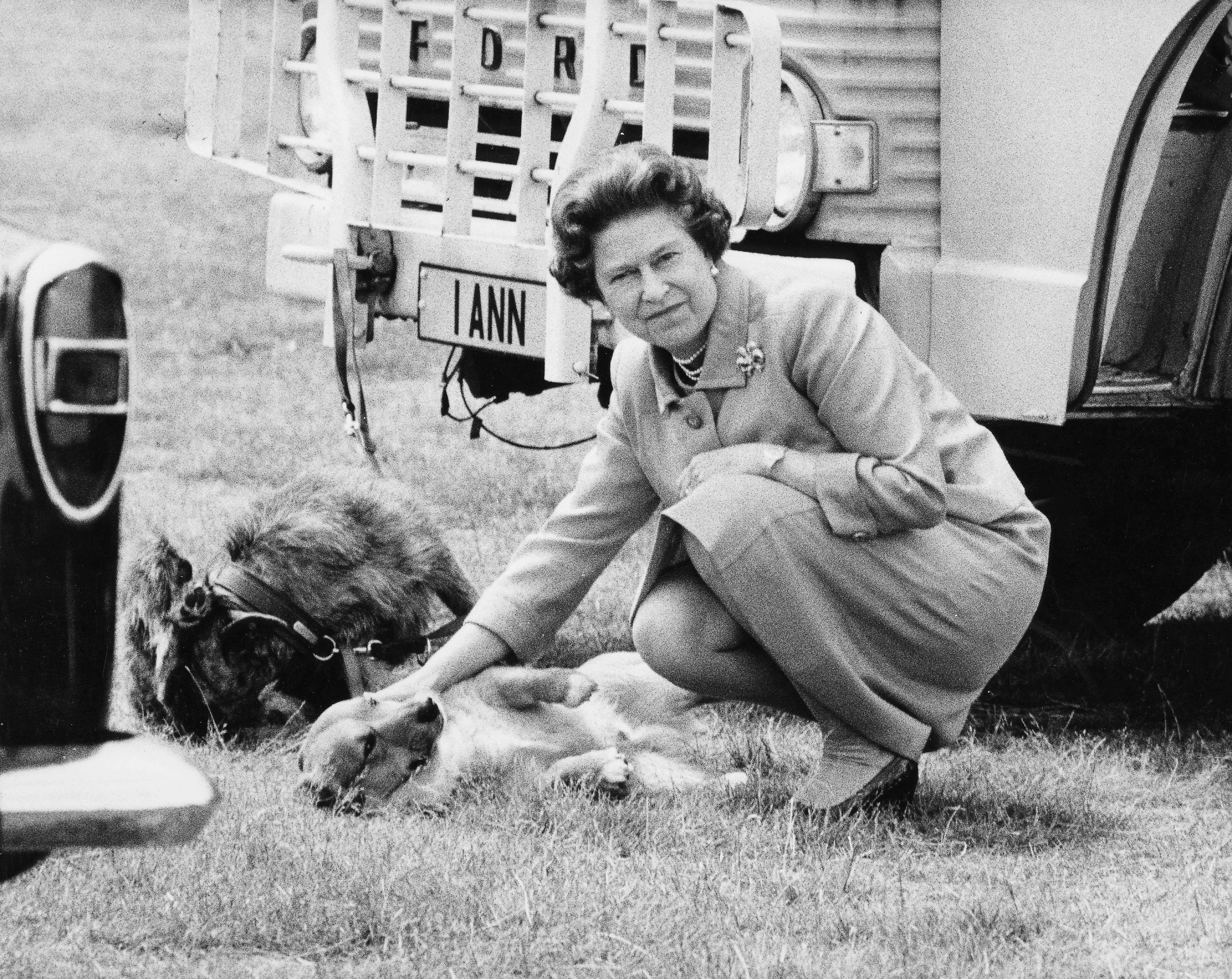 Los perros favoritos de Isabel II. (Grosby Group)